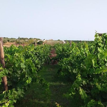 Villa Cozzo Del Parroco - Ospitalita Tra I Vigneti Granelli Exterior foto