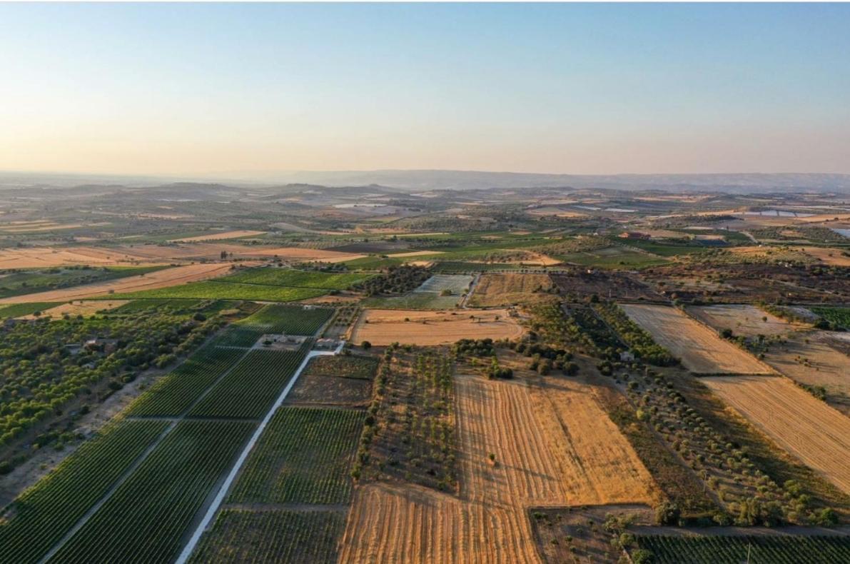 Villa Cozzo Del Parroco - Ospitalita Tra I Vigneti Granelli Exterior foto
