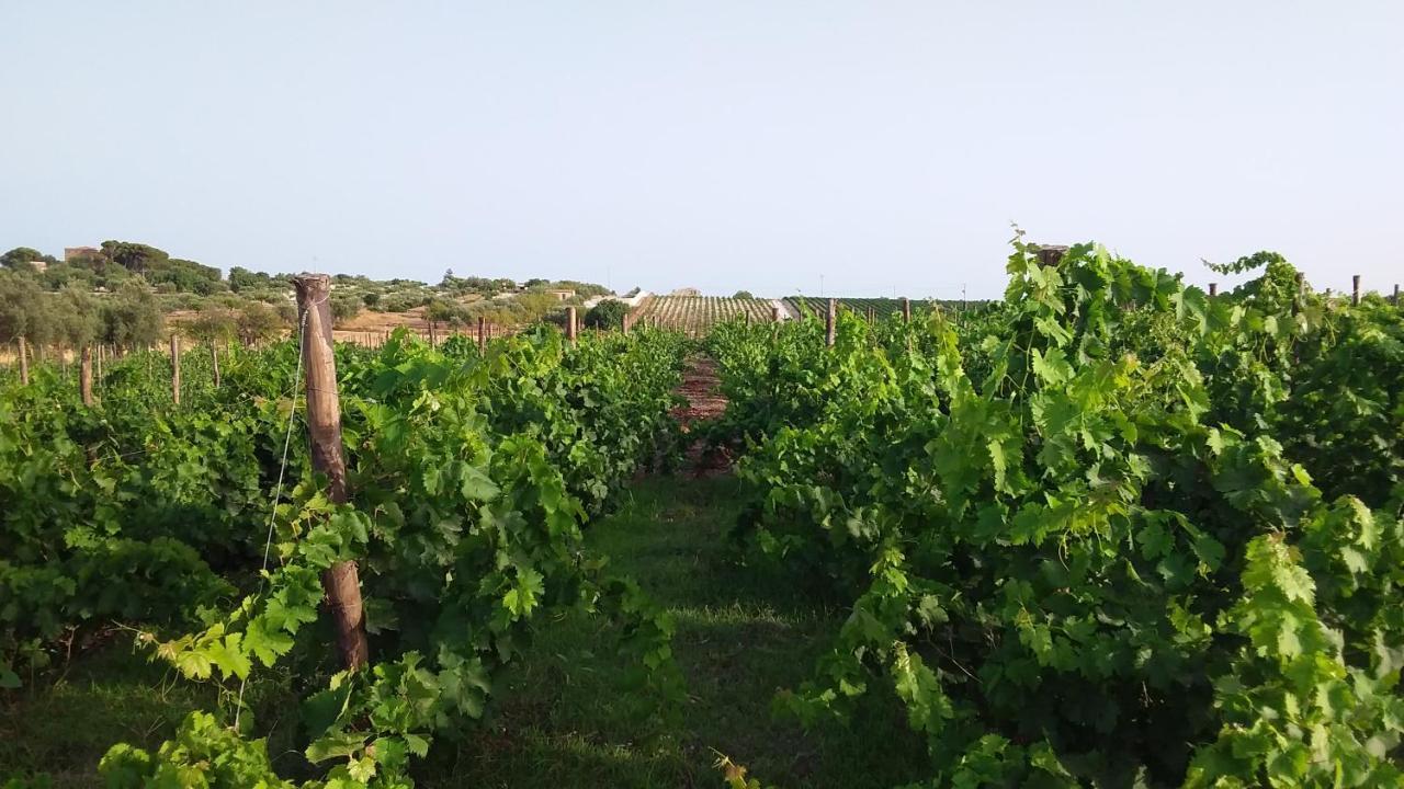 Villa Cozzo Del Parroco - Ospitalita Tra I Vigneti Granelli Exterior foto
